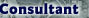consultant